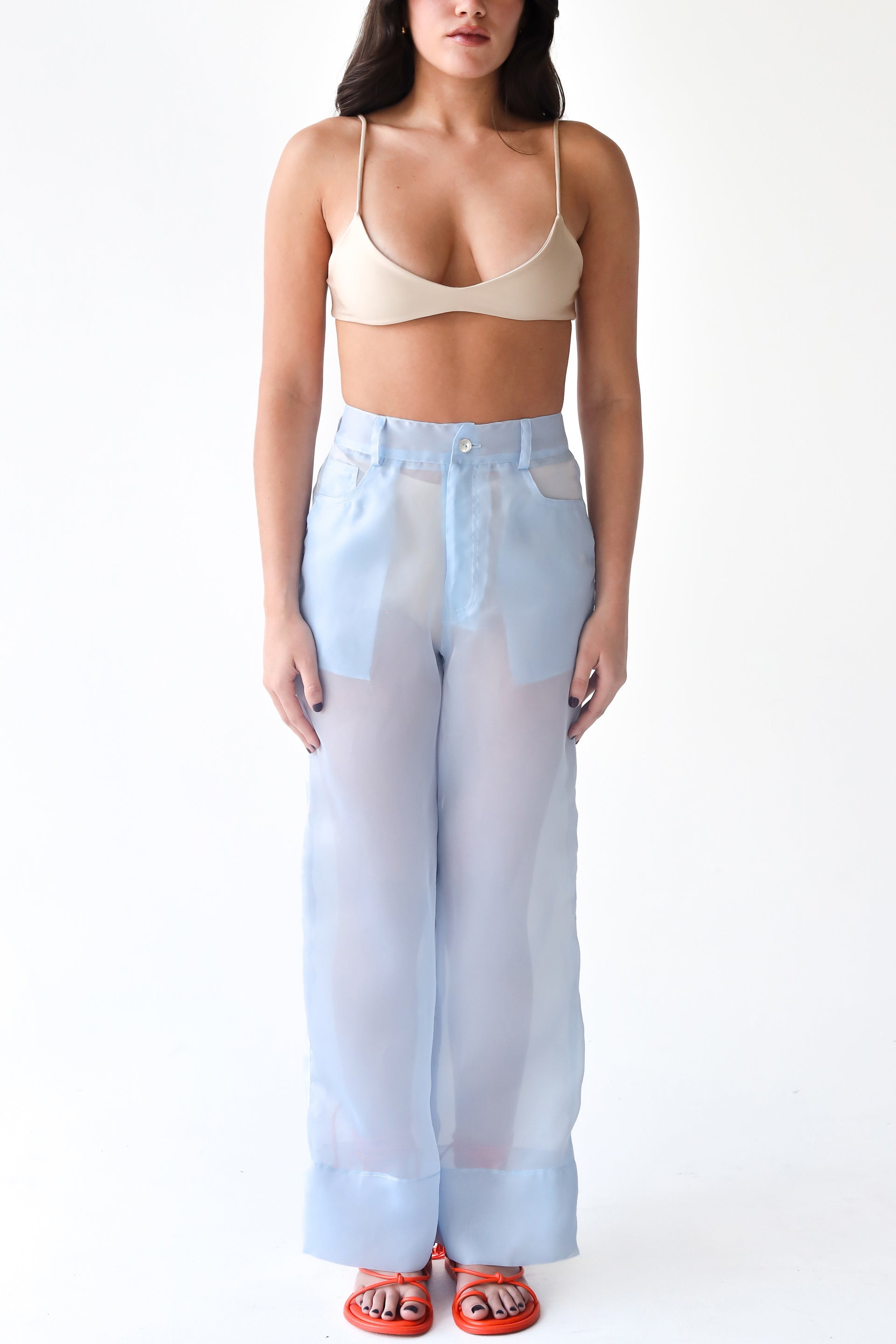 Andi Pant
